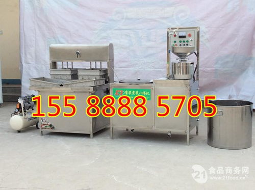 全自動豆腐皮機(jī) 產(chǎn)品性能與價(jià)格行情全解析